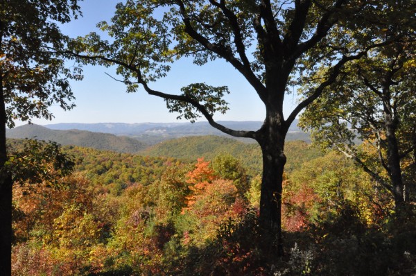             POUND FOOD BANK Image